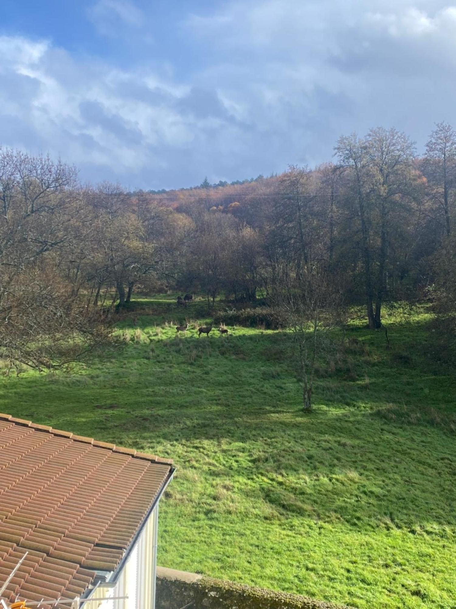 Casa Del Bosque Διαμέρισμα Béjar Εξωτερικό φωτογραφία
